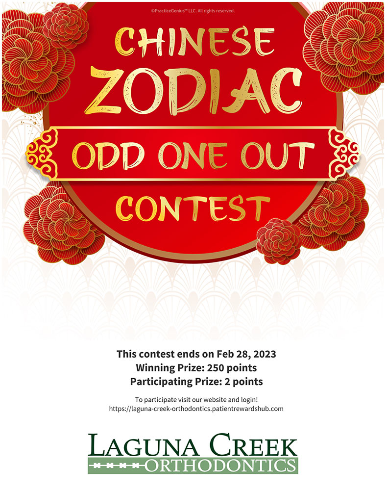 Chinese Zodiac Odd One Out Contest